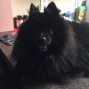 Meet your Posher, Maria del